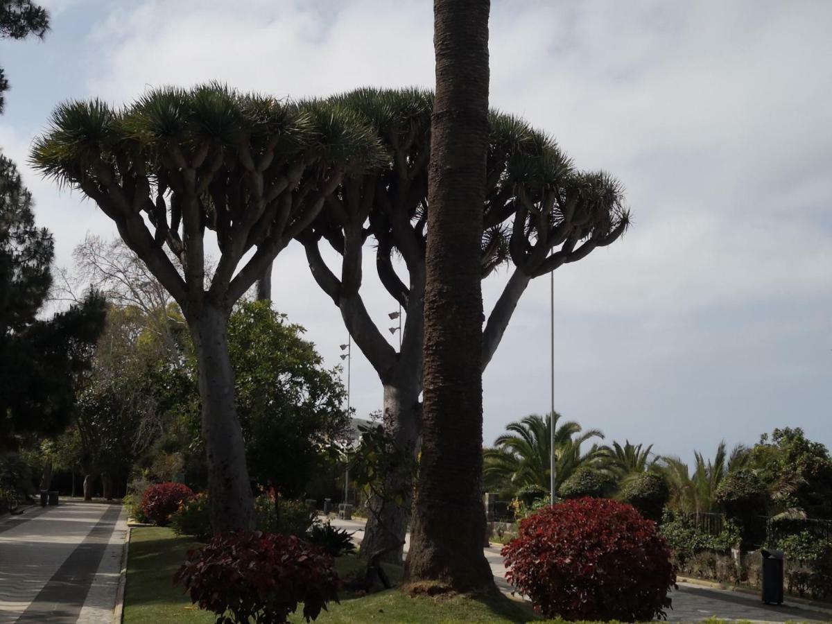 Casa Aridani Villa Arucas Luaran gambar